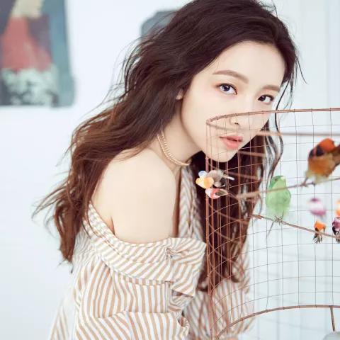 吴姓女明星,璀璨星河中的璀璨明珠