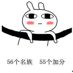 整容搞笑段子,那些整容搞笑段子背后的故事