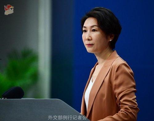 毛宁个人资料,音乐才子的人生轨迹与艺术成就